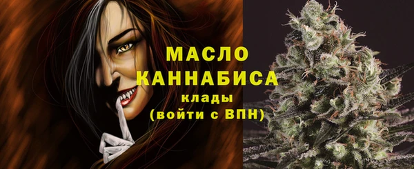 ECSTASY Дегтярск