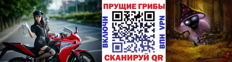 Псилоцибиновые грибы мицелий  Купить  Зеленодольск 
